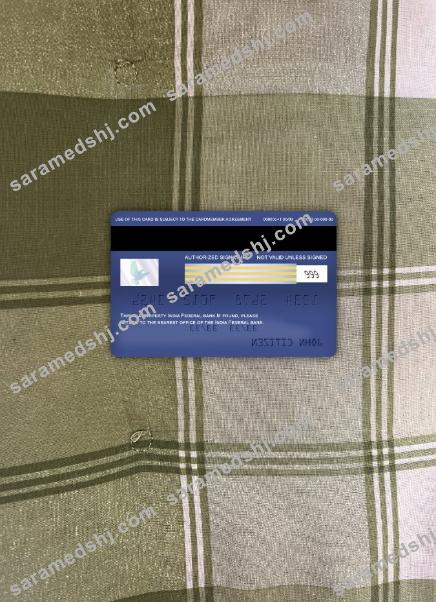India Federal bank visa classic card photolook back